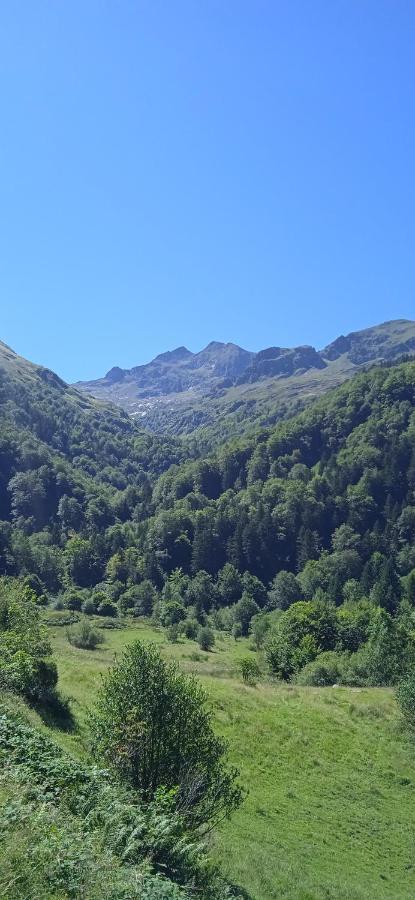 Studio Le Mont Beas Aulus-les-Bains Exteriör bild
