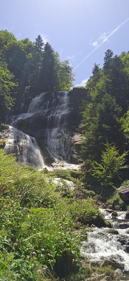 Studio Le Mont Beas Aulus-les-Bains Exteriör bild